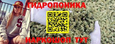 винт Можга