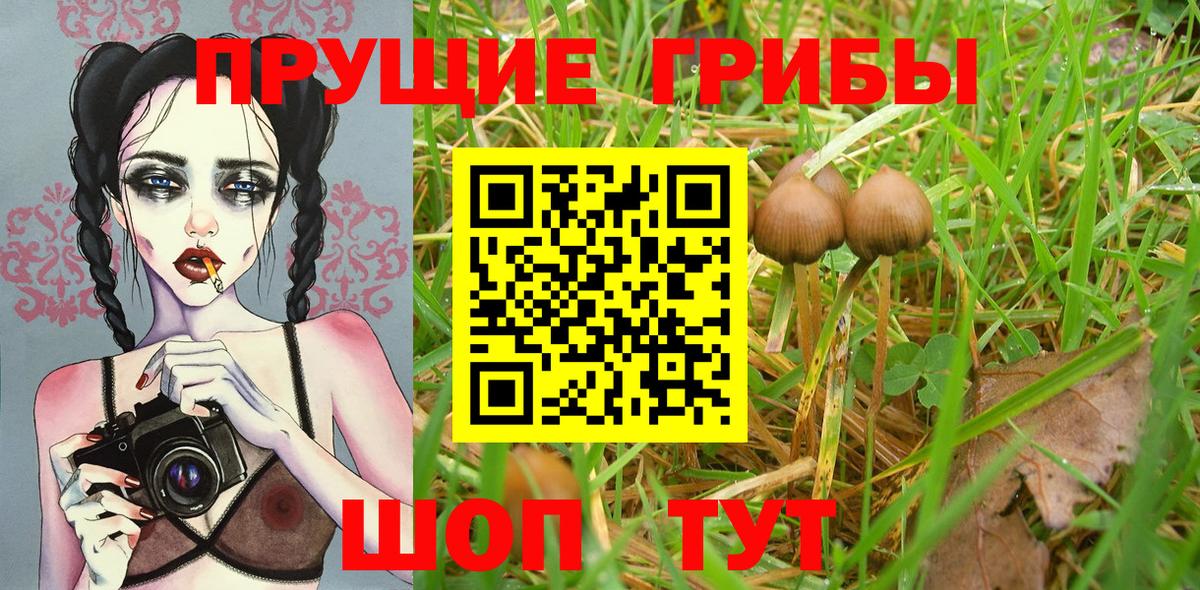 Галлюциногенные грибы мицелий Ижевск